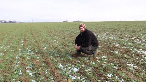 Cette parcelle de Vincent Grosse a été semée à l’automne 2020 avec un mélange à base de triticale d’hiver (90 kg), de vesce (25 kg), de pois fourrager (12-13 kg), de trèfle incarnat (2 kg). Il sera récolté au printemps à destination des animaux. © D. Péronne Cette parcelle de Vincent Grosse a été semée à l’automne 2020 avec un mélange à base de triticale d’hiver (90 kg), de vesce (25 kg), de pois fourrager (12-13 kg), de trèfle incarnat (2 kg). Il sera récolté au printemps à destination des animaux. © D. Péronne